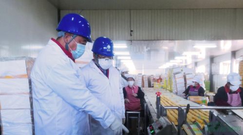 河北石家莊供電公司 暖心服務(wù)助力扶貧微工廠 譜寫(xiě)鄉(xiāng)村振興新篇章