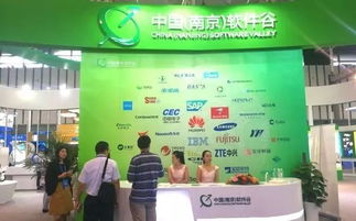 第十三屆中國南京國際軟件產品和信息服務交易博覽會盛大開幕，聚焦信息咨詢服務新趨勢